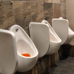 Image of toilet