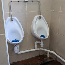 Image of toilet