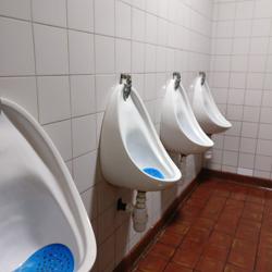 Image of toilet