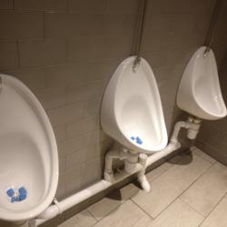 Image of toilet