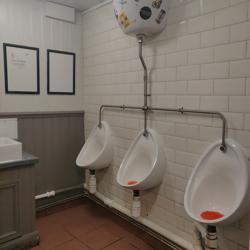 Image of toilet